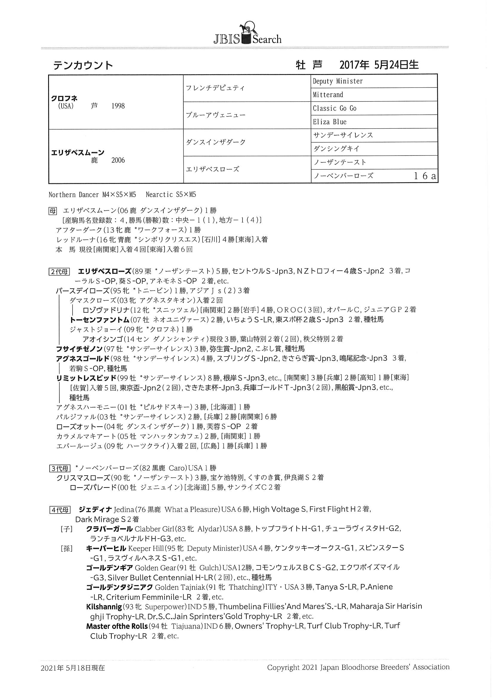 テンカウント Ten Count 牡 ４歳 地方競馬 在籍 サラブレッドオークション