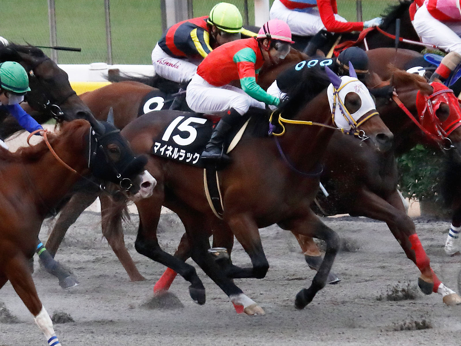 新商品」 競馬 実使用レースゼッケン マイネルアウラート スポーツ