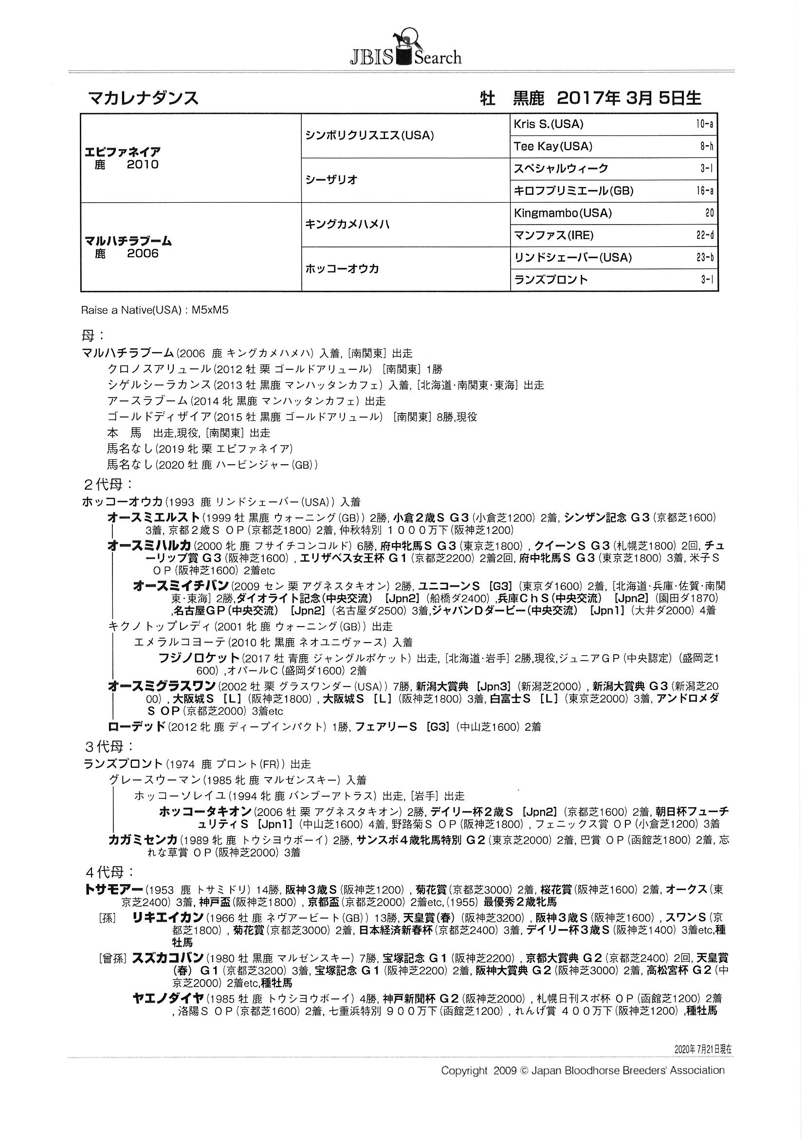 マカレナダンス Macarena Dance 牡 ３歳 中央競馬 登録抹消 サラブレッドオークション