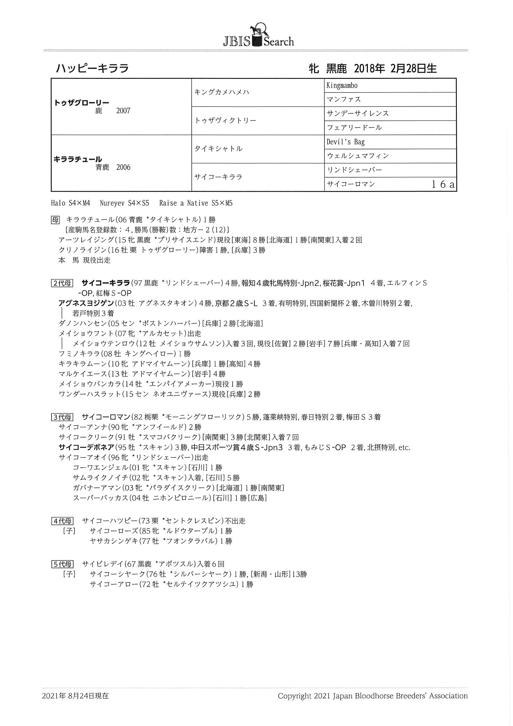 ハッピーキララ Happy Kirara 牝 3歳 中央競馬 登録抹消 サラブレッドオークション ハッピーキララ Happy Kirara 牝 3歳 中央競馬 登録抹消 サラブレッドオークション