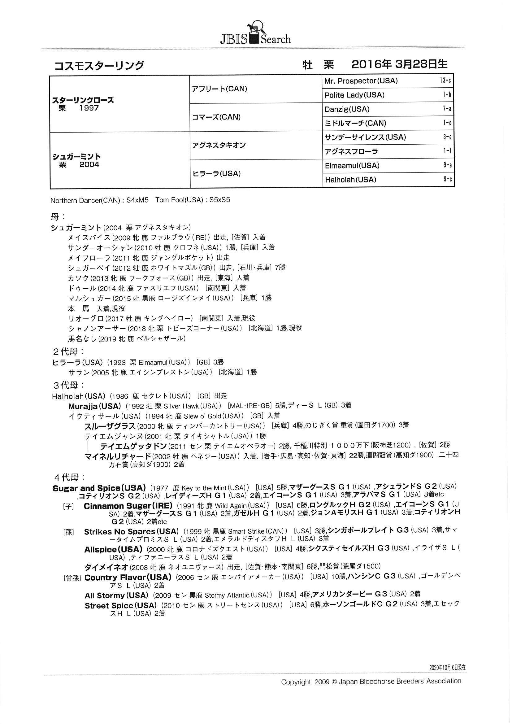 コスモスターリング Cosmo Sterling 牡 ４歳 中央競馬 登録抹消 サラブレッドオークション