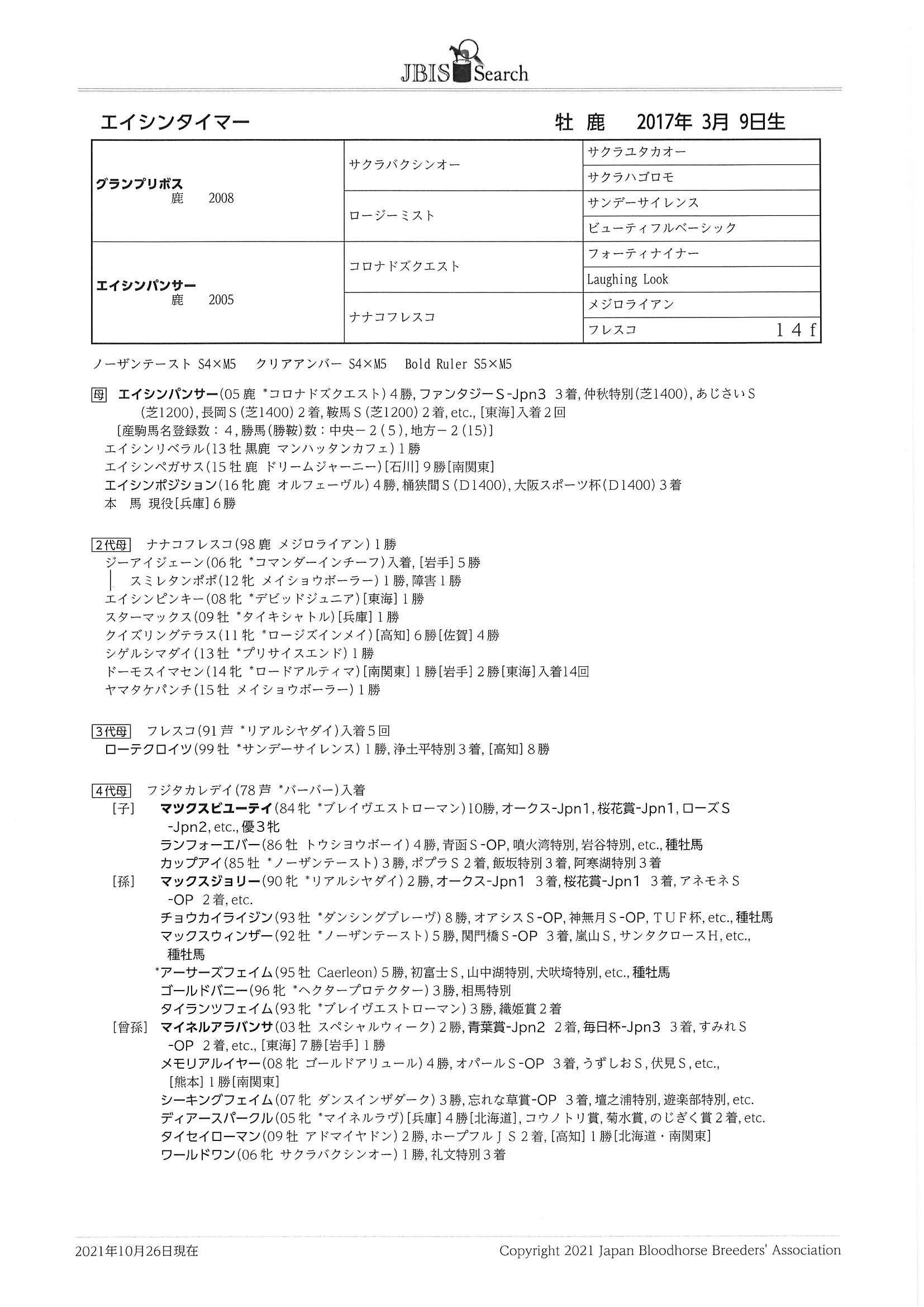 エイシンタイマー A Shin Timer 牡 ４歳 地方競馬 在籍 サラブレッドオークション