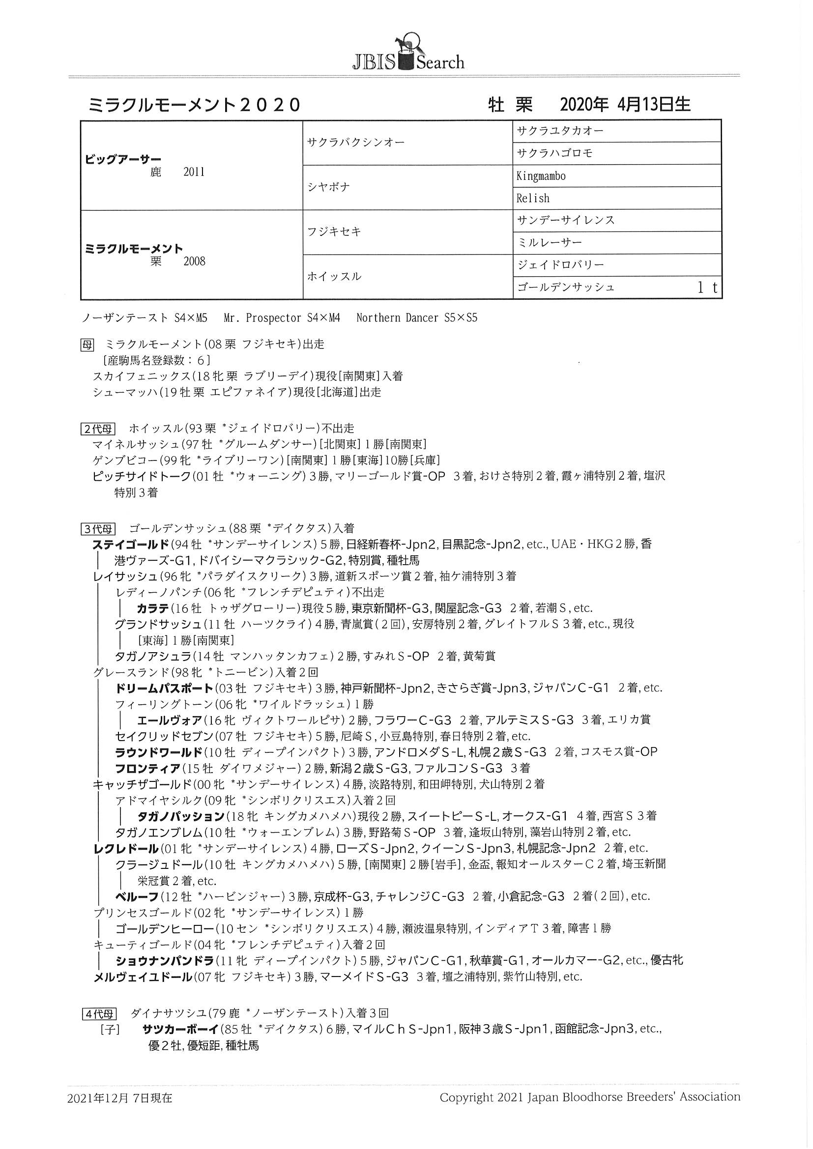 ミラクルモーメントの Miracle Moment 牡 １歳 育成中の1歳馬 サラブレッドオークション