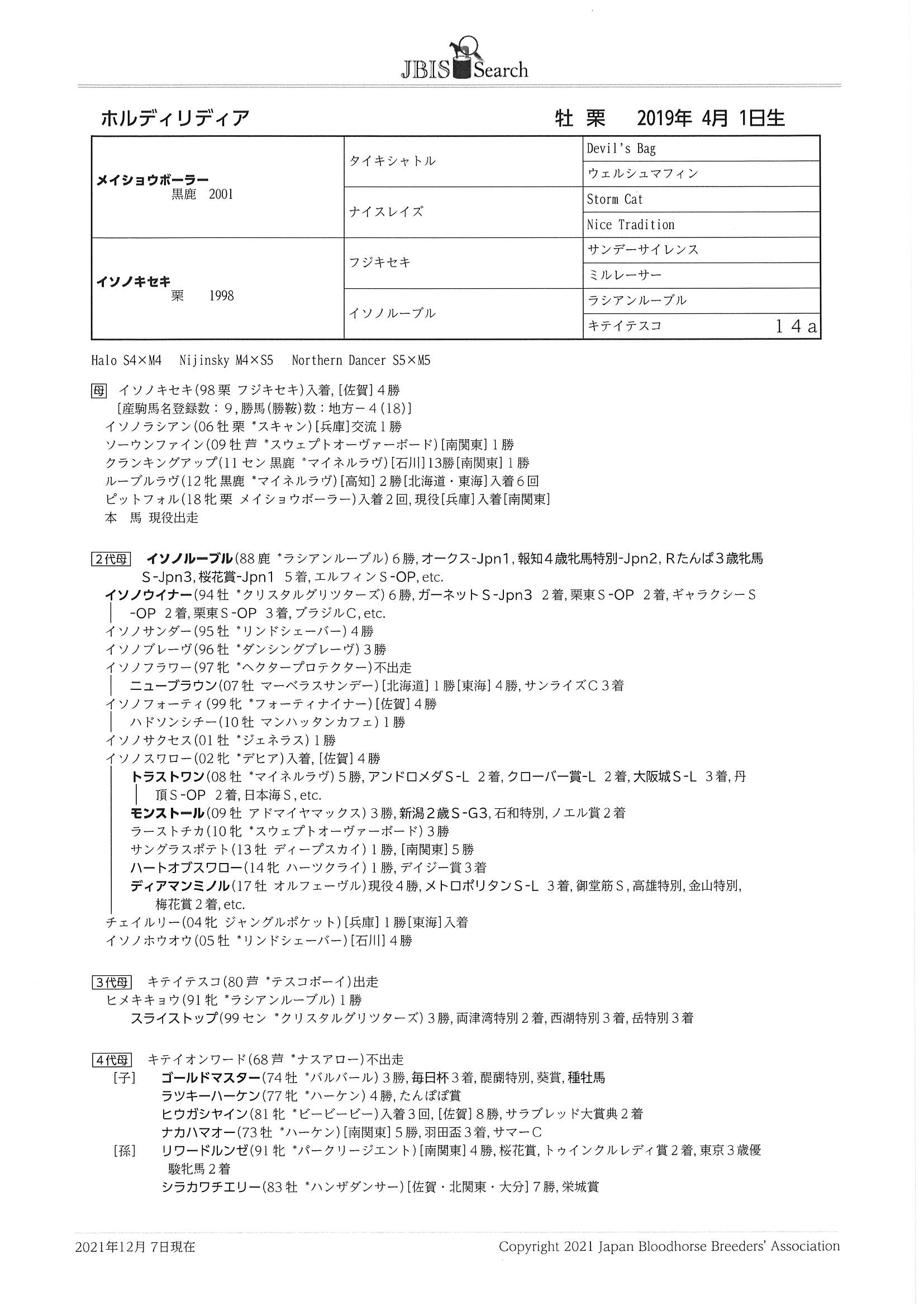 ホルディリディア Holdiridia 牡 ２歳 中央競馬 登録抹消 サラブレッドオークション